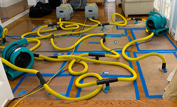 Professional Basement Flood Cleanup technician working in Cloverdale, CA
